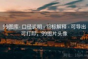 99图库- 口径说明 - 指标解释 - 可导出可打印，99图片头像