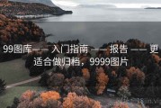 99图库—— 入门指南 —— 报告 —— 更适合做归档，9999图片