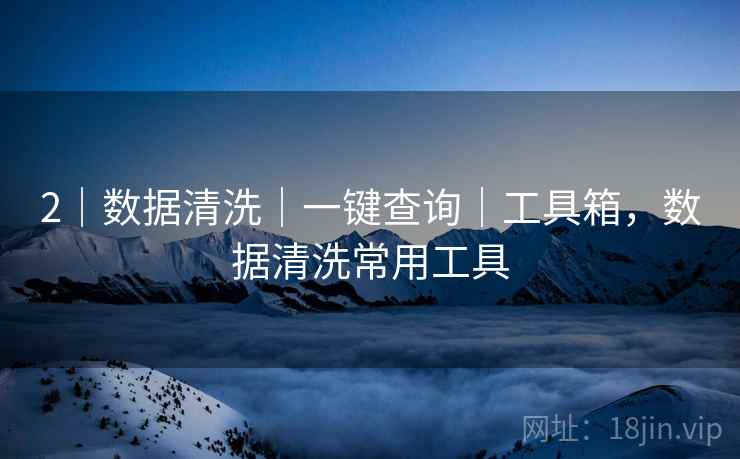 2｜数据清洗｜一键查询｜工具箱，数据清洗常用工具