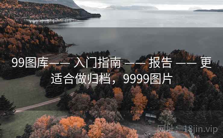 99图库—— 入门指南 —— 报告 —— 更适合做归档，9999图片